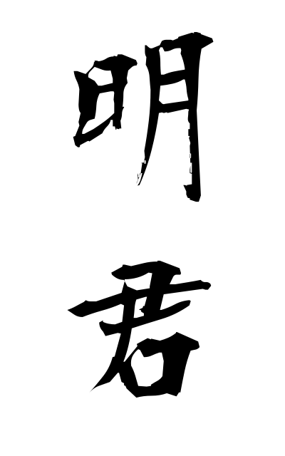 m40160明君めいくん Akira