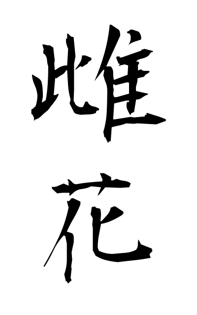 m40311雌花めばな Female flower