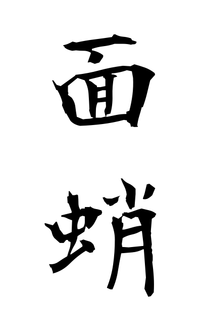 m40338面蛸めんだこ Aspect octopus