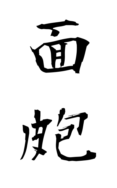 n20199面皰にきび Pimple