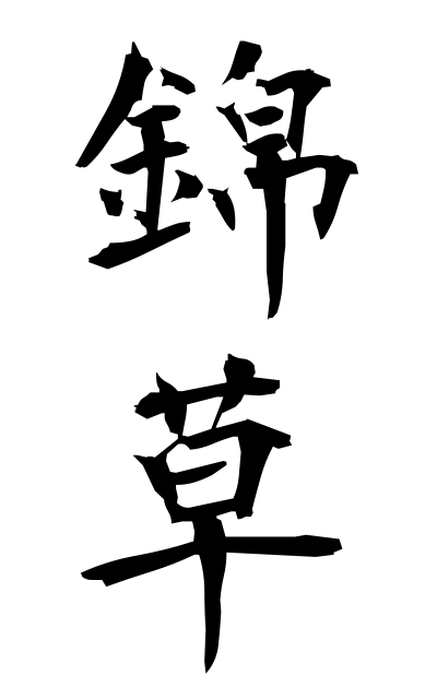 n20267錦草にしきぐさ Euphorbia humifusa