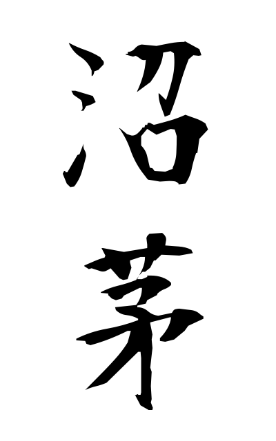 n30034沼茅ぬまがや Marsh Japanese nutmeg