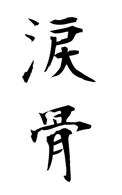 r30047涙骨るいこつ Lacrimal bone