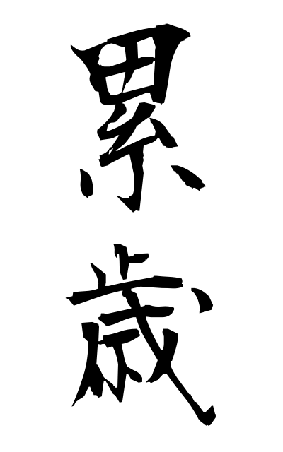 r30048累歳るいさい Successive years