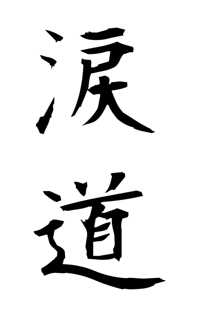 r30064涙道るいどう Lacrymal duct