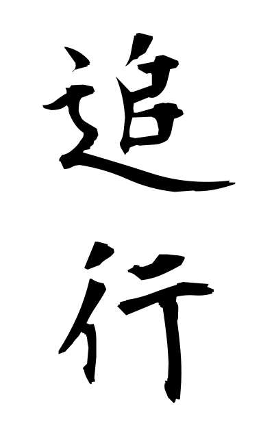 t30012追行ついこう pursuit