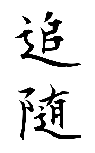 t30018追随ついずい Following