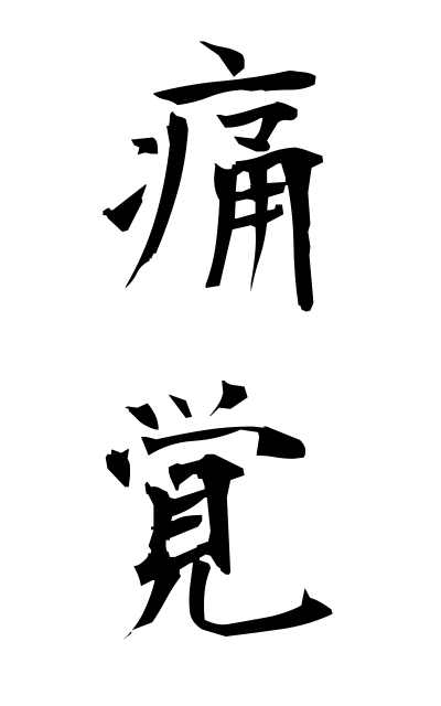 t30045痛覚つうかく Sense of pain