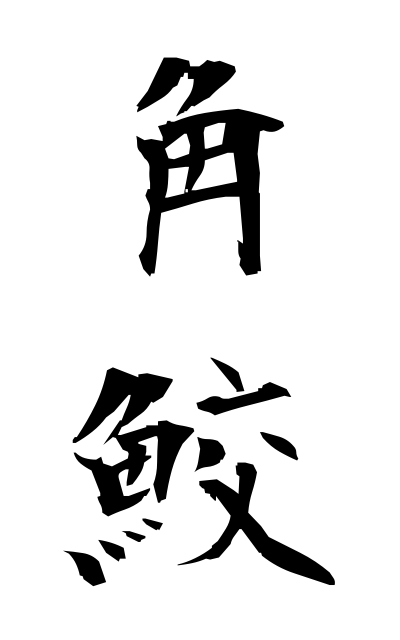 t30302角鮫つのざめ Corner shark