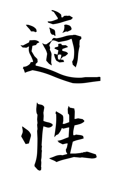 t40165適性てきせい Fitness