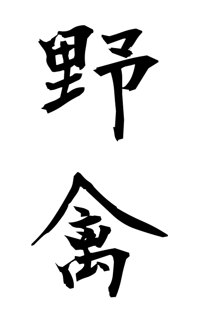 y10173野禽やきん Wild fowl