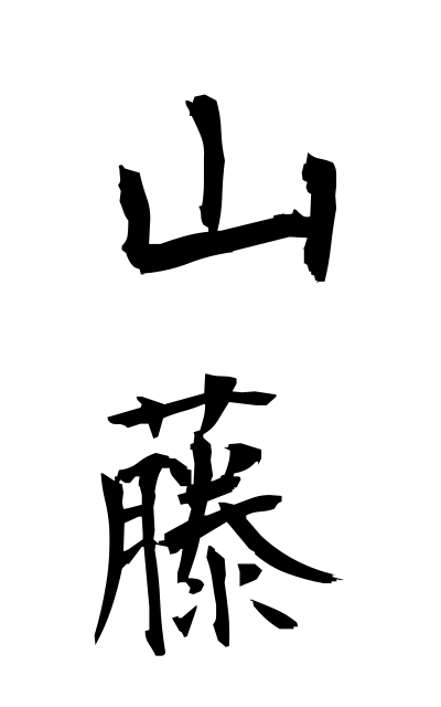 y10514山藤やまふじ Santo