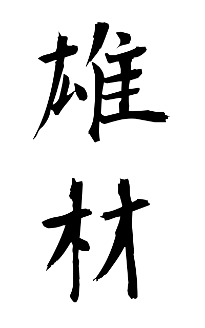 y30261雄材ゆうさい Excellent ability