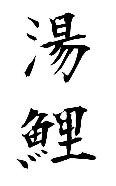 y30453湯鯉ゆごい Hot water carp