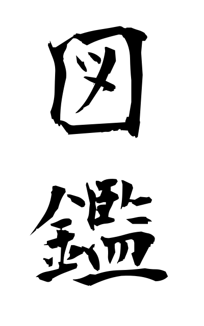 z30025図鑑ずかん Illustrated book