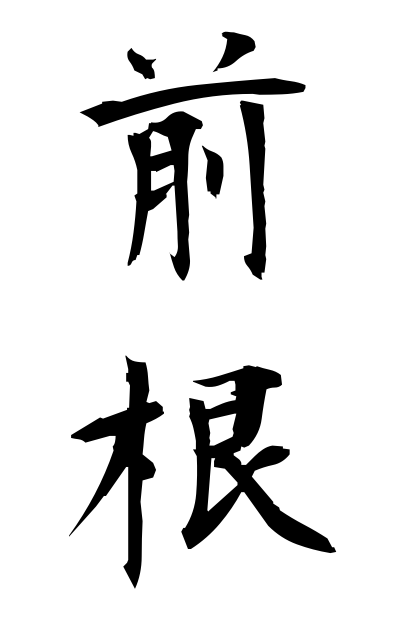 z40305前根ぜんこん Ventral root