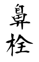 鼻栓