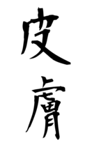 皮膚