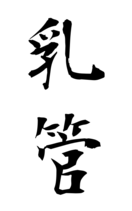 乳管
