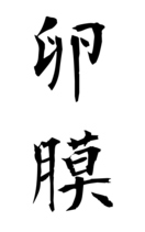 卵膜
